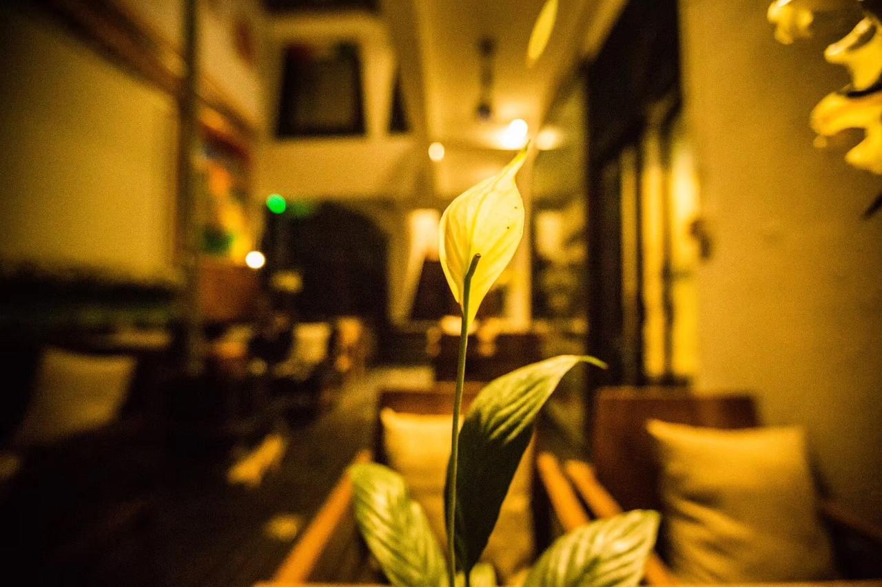 Energy Space Healing Inn Shangri-La Ngoại thất bức ảnh